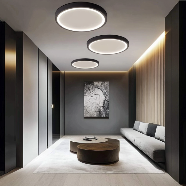LED Mennyezeti Lámpa, IP44, Ultra Vékony, 40W, 2.1 cm Vastagság, Ø40cm, 6500K, 4000lm, DMDS01-400MM-40W, Fekete